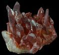 Natural Red Quartz Crystals - Morocco #51554-1